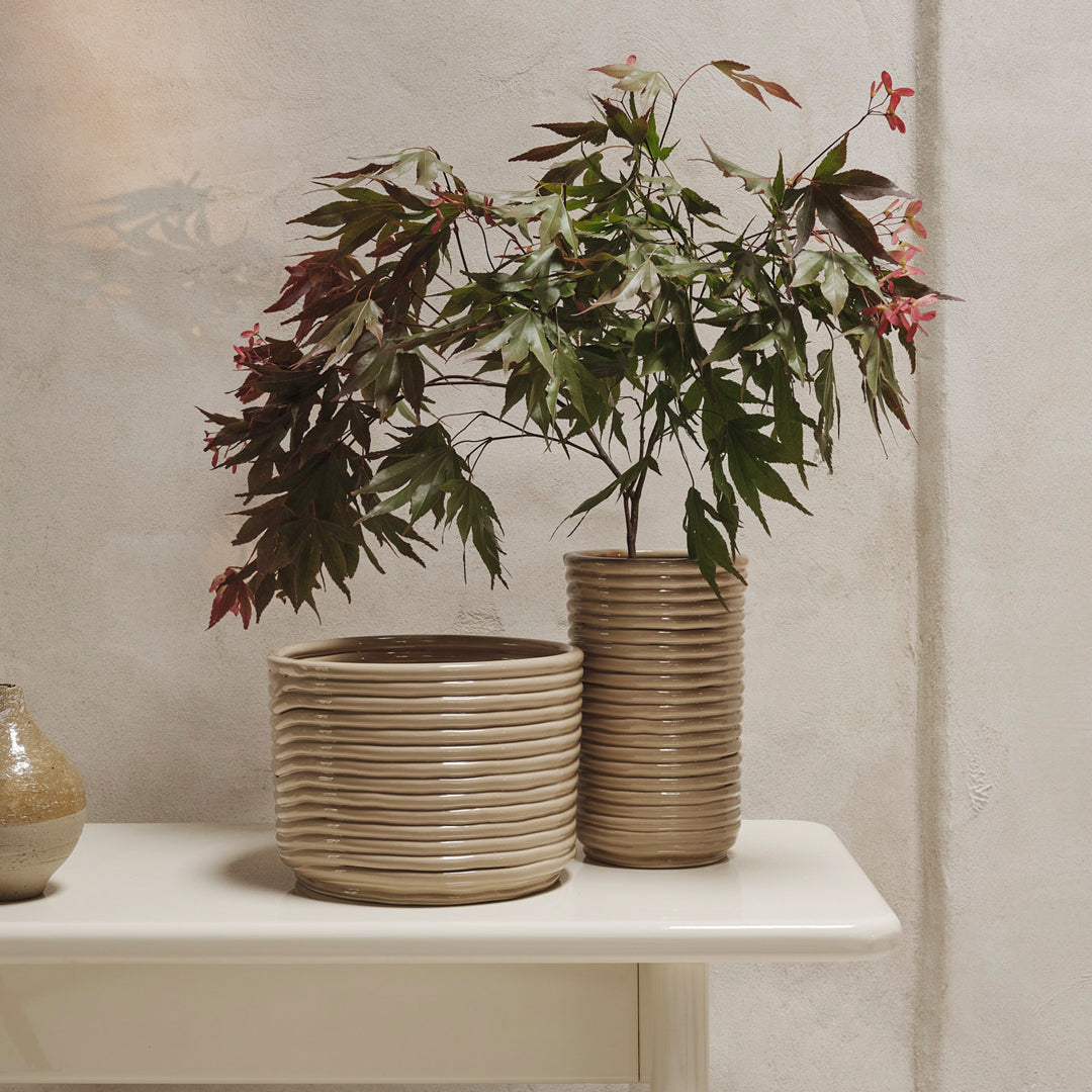 Natural beige ceramic pots with textured ribbed patterns, featuring green and burgundy foliage. Perfect for home decor.