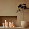 Soft beige wall with various white and frosted glass candles, complemented by a textured cream pot and green leaves.