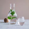 Clear glass carafe and tumbler with green mint leaves in water, set against a soft beige background.