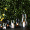 Elegant glass candle holders in clear and black, featuring smooth curves and glowing candles against a lush green backdrop.