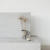 Grey decorative vase with dried plants, minimalist design on a smooth concrete surface. Modern and stylish home decor.