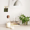 White ceramic lamp, clear glassware, green foliage, neutral-toned books, and creamy milk create a modern, minimalist aesthetic.