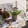 "Gray planter with vibrant green grass on a light pegboard shelf, surrounded by rustic gardening tools."